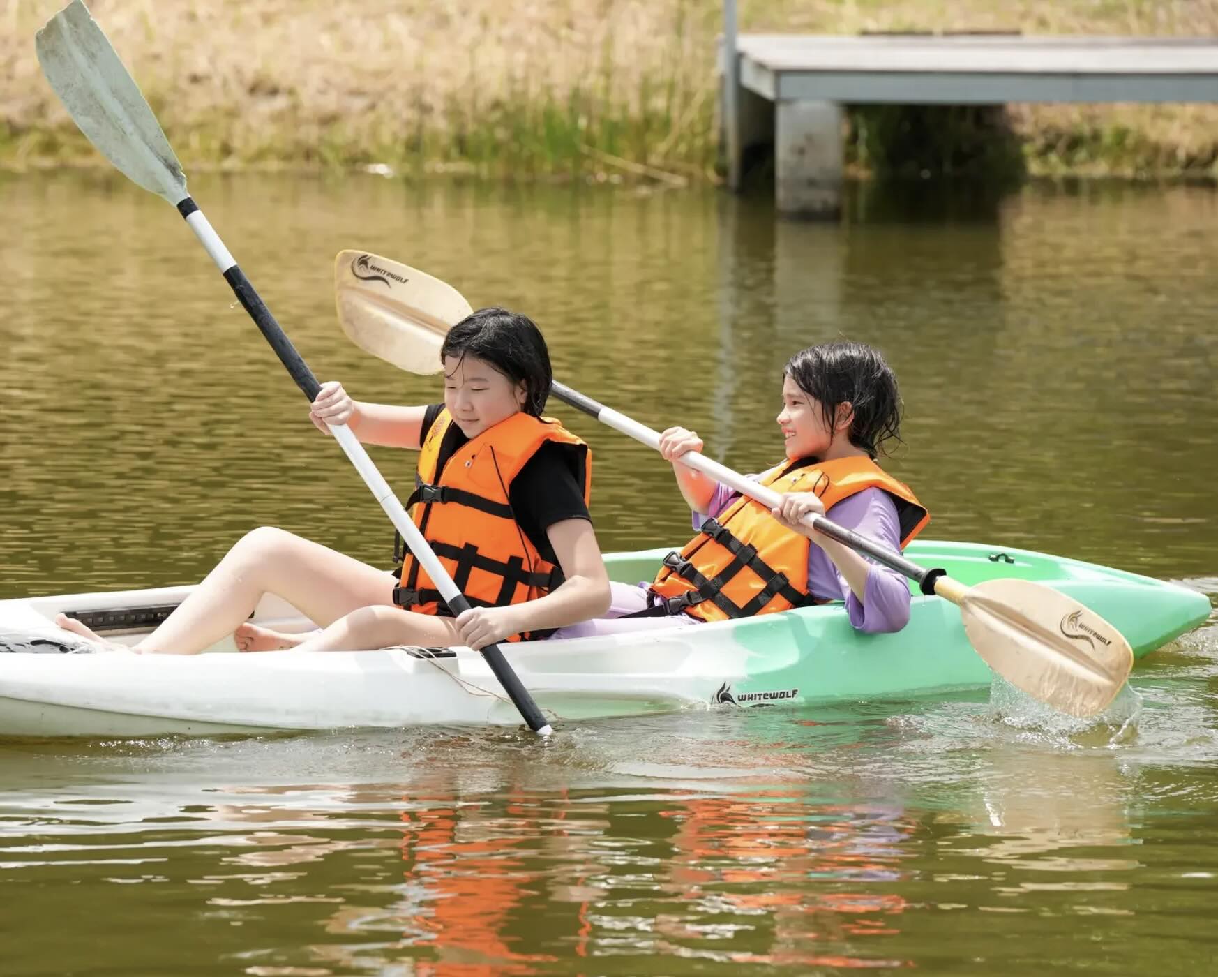 Study Abroad in Thailand - Summer Camp 2025